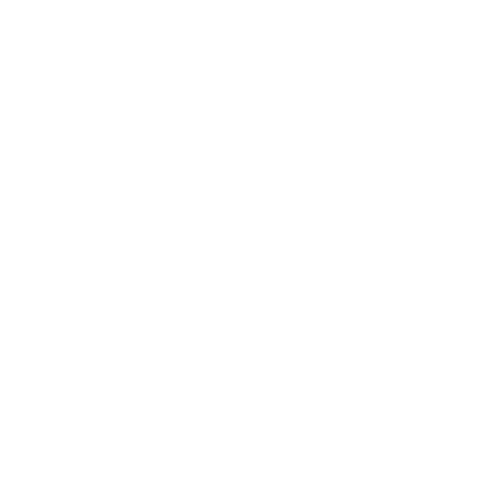 Pideneem